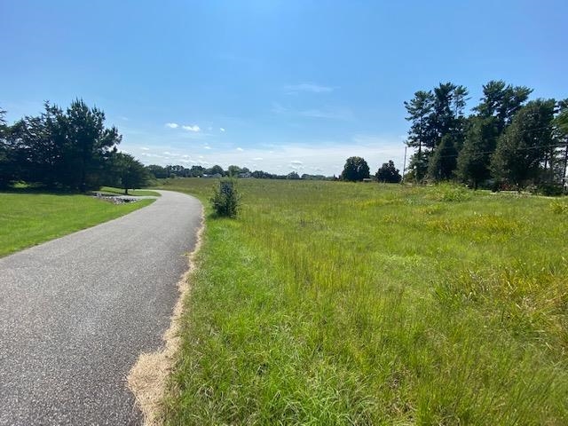 0 Ballenger Road Wellford, SC 29385 - Photo 6 of 8