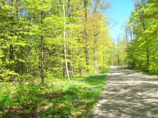 Deer Trail Ellison Bay, WI 54210 - Photo 2 of 5