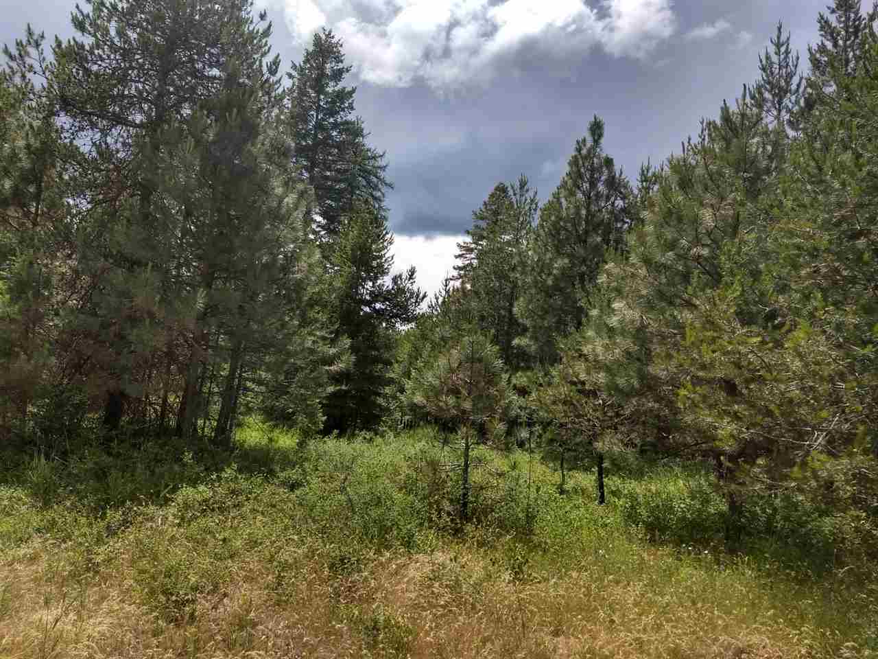 350 South Main Street Springdale, WA 99173 - Photo 1 of 6 Gallery Image 1