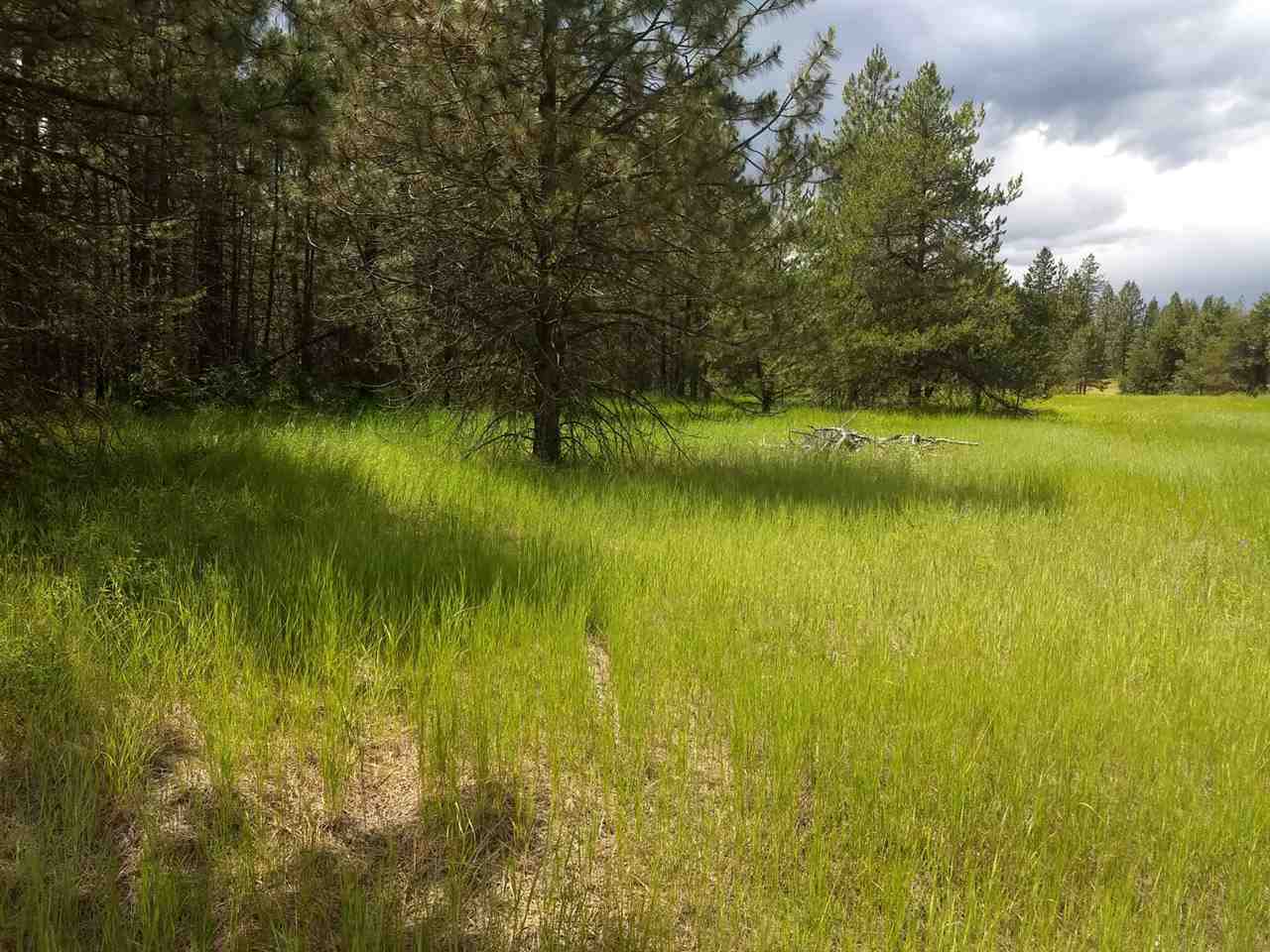 350 South Main Street Springdale, WA 99173 - Photo 4 of 6 Gallery Image 4