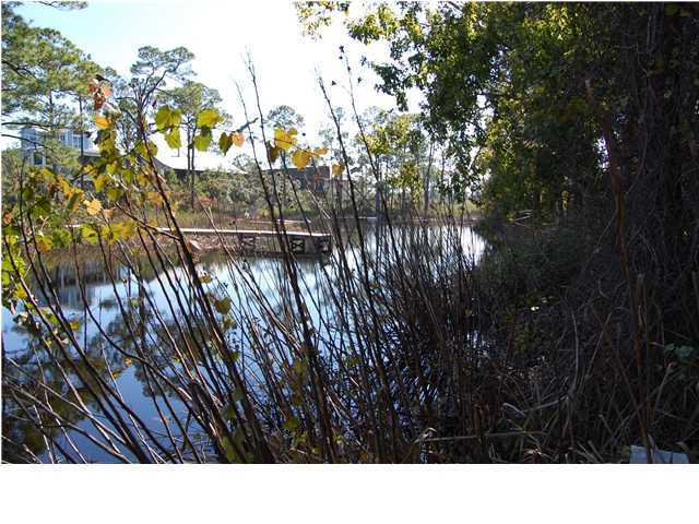 159 Grayton Trail Road Santa Rosa Beach, FL 32459 - Photo 5 of 15 a black and white photo of a forest