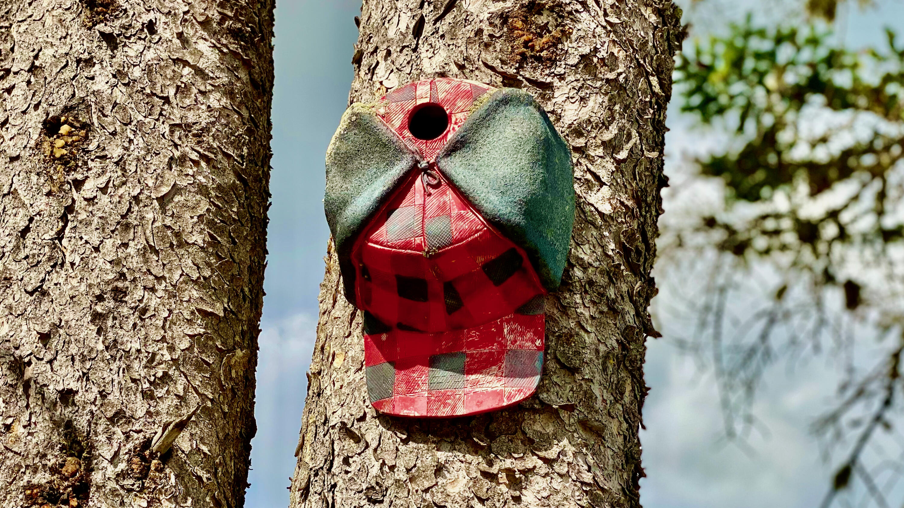 2013 Parmachenee Road Oquossoc, ME 04964 - Photo 18 of 64 Bosebuck 10