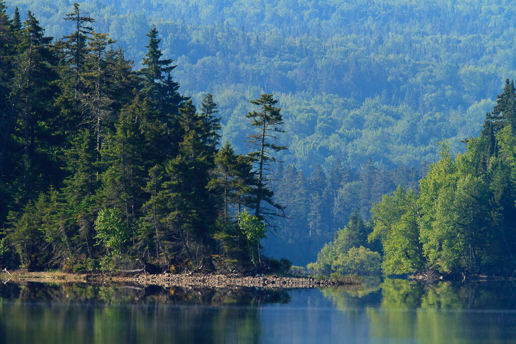 2013 Parmachenee Road Oquossoc, ME 04964 - Photo 31 of 64 Bosebuck (22 of 34)