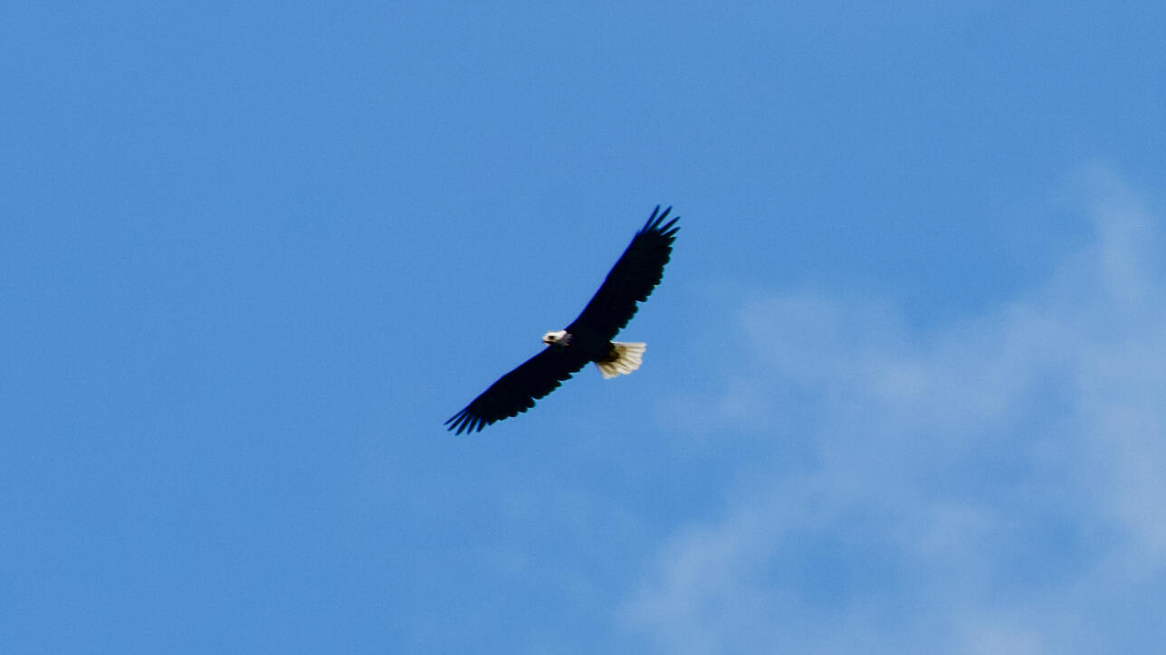 2013 Parmachenee Road Oquossoc, ME 04964 - Photo 51 of 64 Bosebuck 8