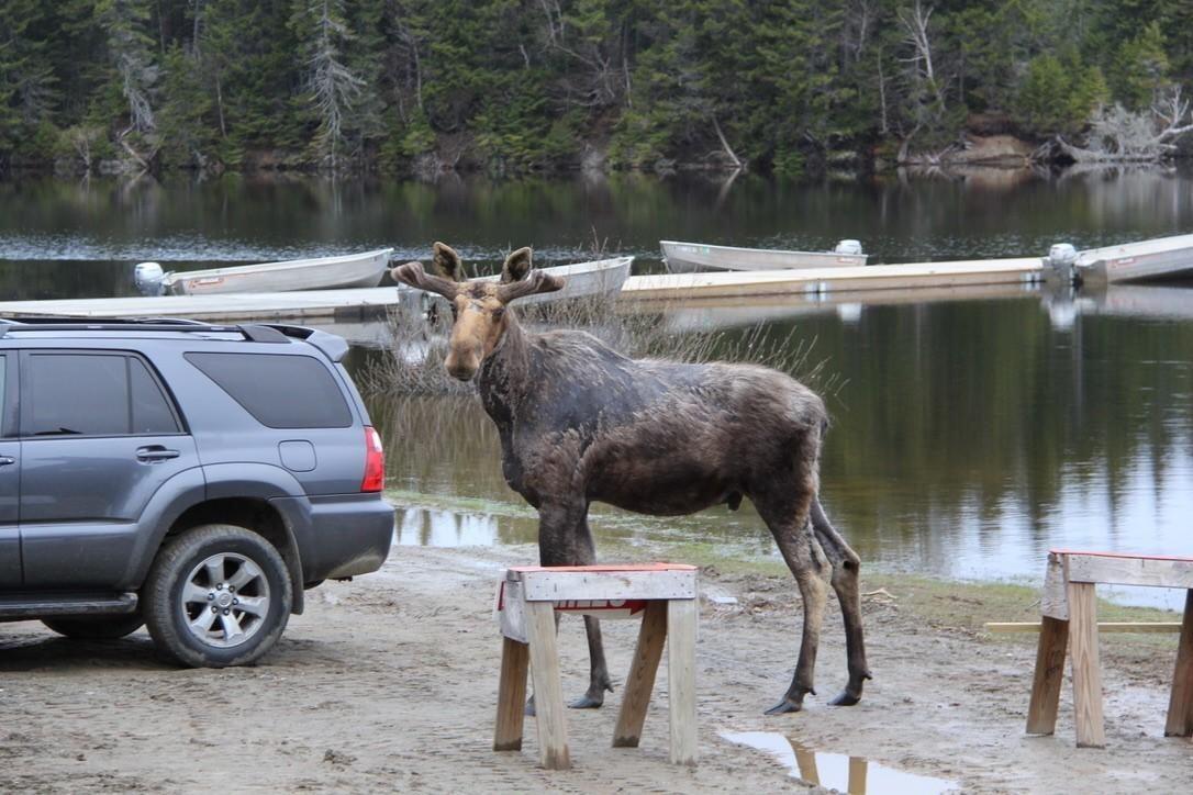 2013 Parmachenee Road Oquossoc, ME 04964 - Photo 53 of 64 ee