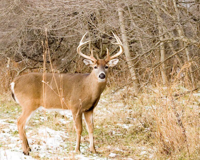 2013 Parmachenee Road Oquossoc, ME 04964 - Photo 55 of 64 jj