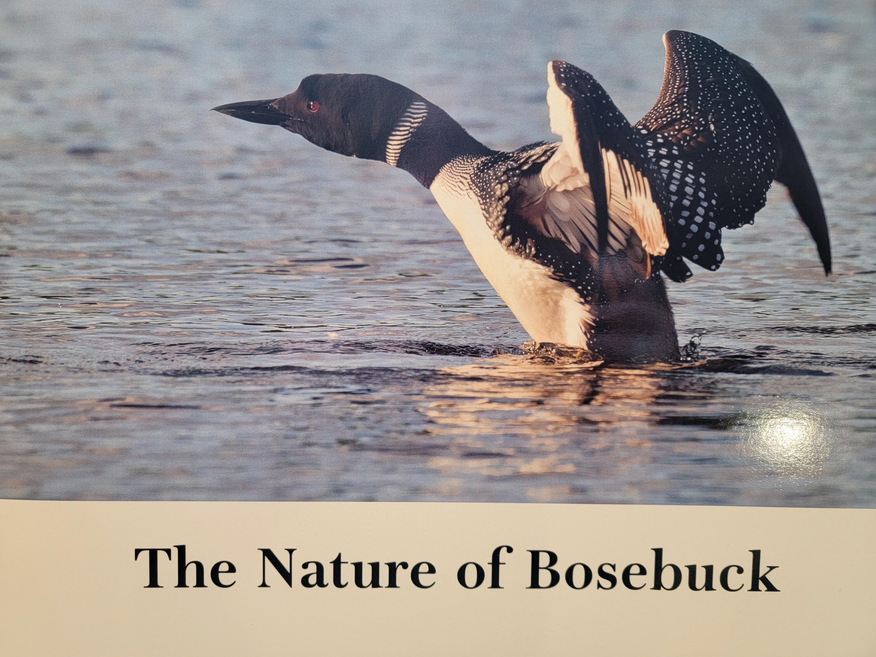 2013 Parmachenee Road Oquossoc, ME 04964 - Photo 61 of 64 bosebuck book