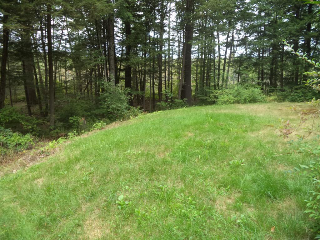 56 Bennington Road Hancock, NH 03449 - Photo 7 of 22