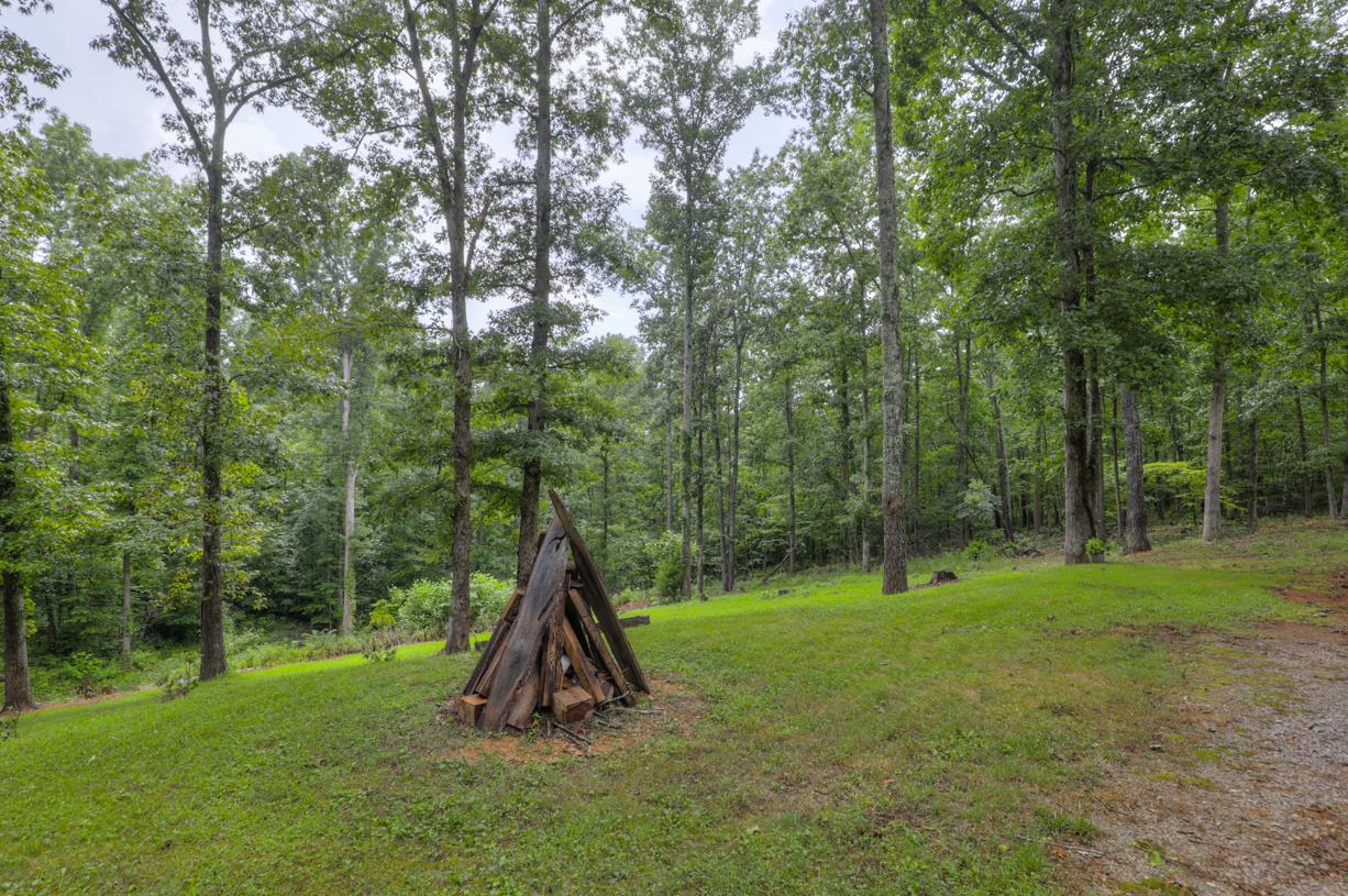 6407 Tom Rail Road Primm Springs, TN 38476 - Photo 21 of 23 a view of a park with a tree