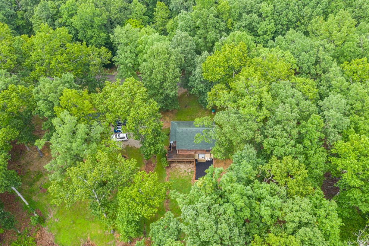 6407 Tom Rail Road Primm Springs, TN 38476 - Photo 22 of 23 a view of a garden with a building