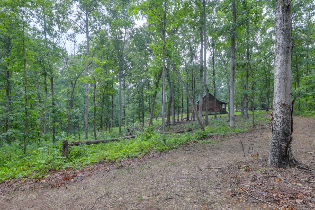 6407 Tom Rail Road Primm Springs, TN 38476 - Photo 9 of 23 a view of a forest that has large trees