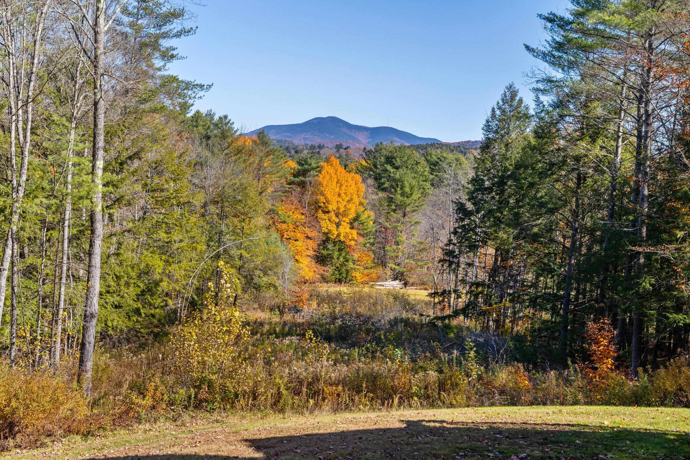 312 Tierney Road Cavendish, VT 05142 - Photo 6 of 42 Gallery Image 6