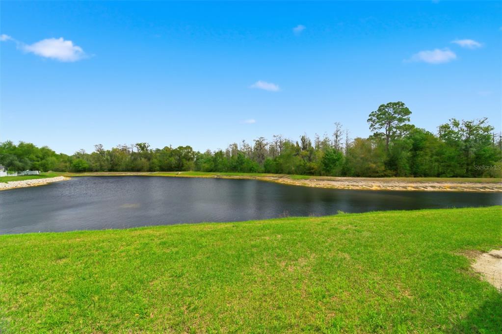 8606 Reedville Street New Port Richey, FL 34654 - Photo 54 of 100