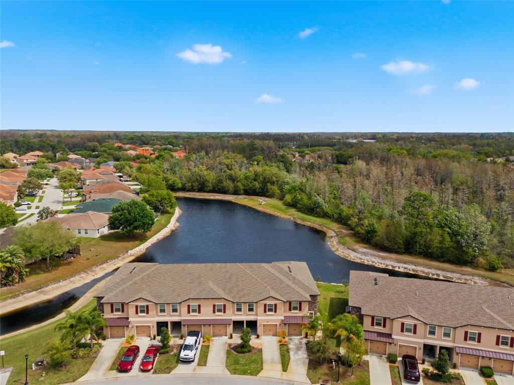 8606 Reedville Street New Port Richey, FL 34654 - Photo 62 of 100