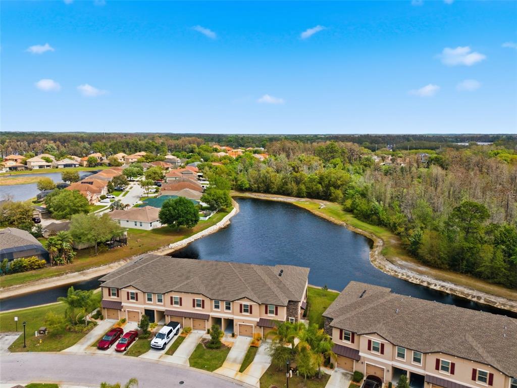 8606 Reedville Street New Port Richey, FL 34654 - Photo 63 of 100