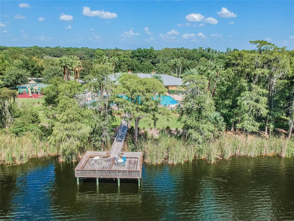 8606 Reedville Street New Port Richey, FL 34654 - Photo 89 of 100