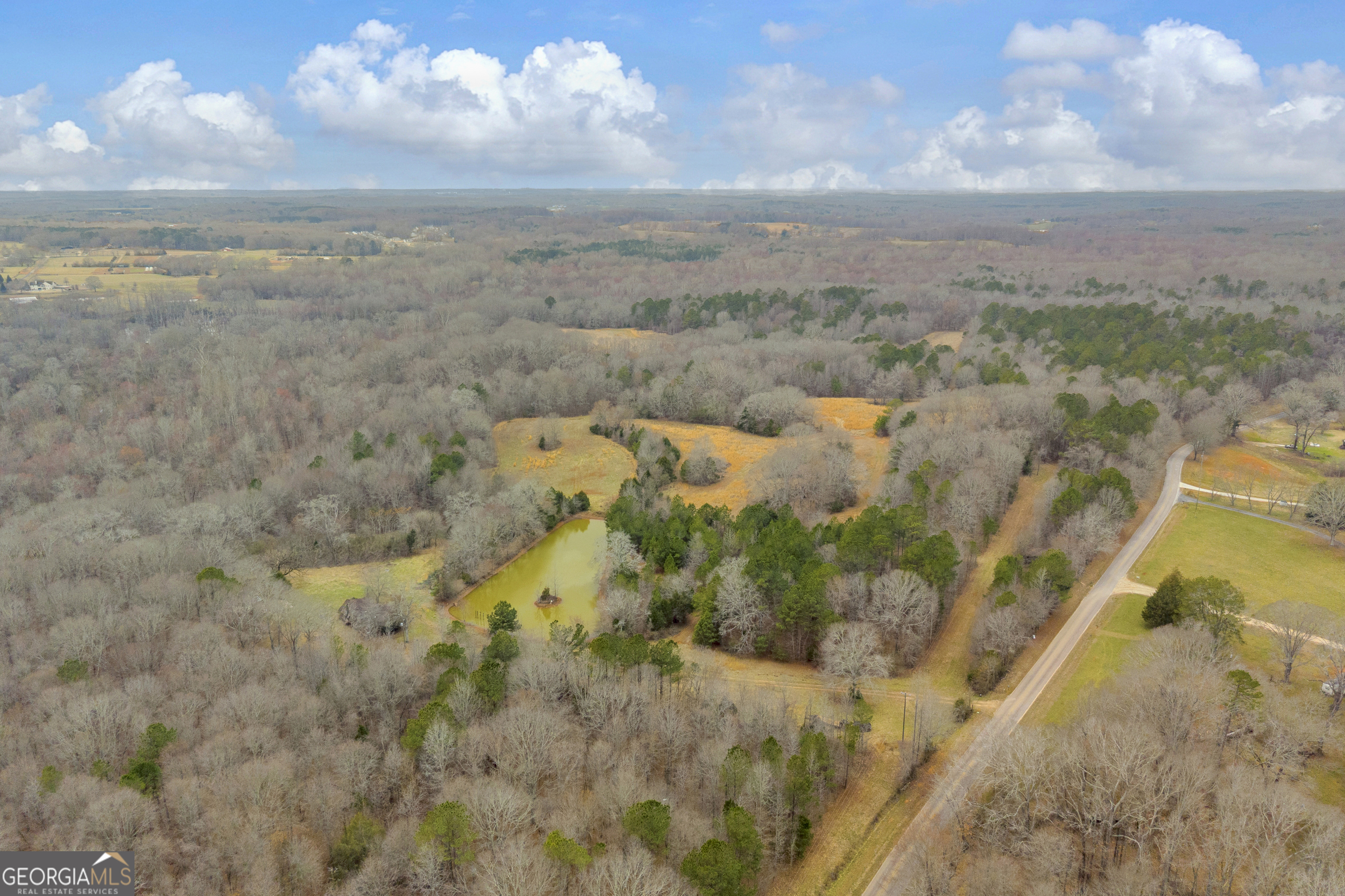 0 Cedar Grove Church Road Winder, GA 30680 - Photo 7 of 10 a view of a lake with a mountain