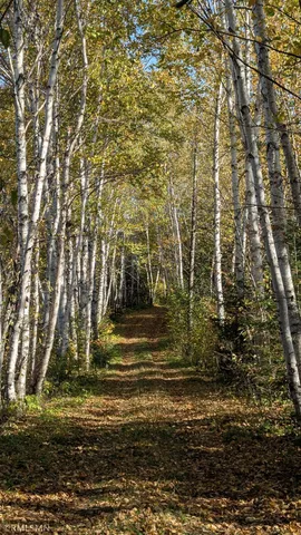 $274,900 | 4136 West General Grade Road, Finland, MN 55603