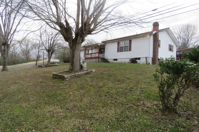 a view of a yard with a tree