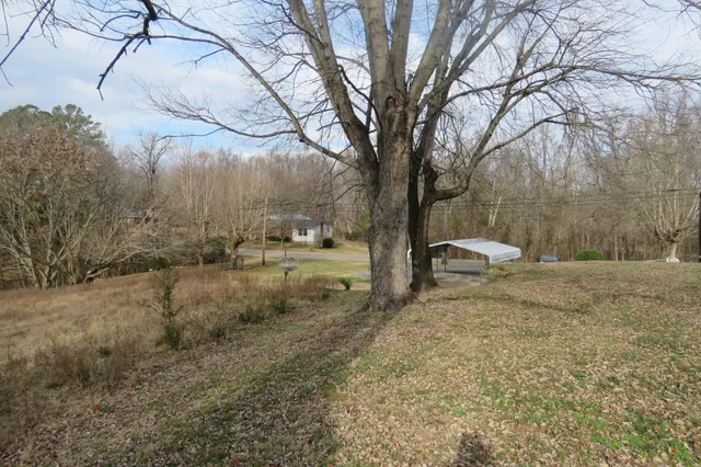 a house view with a backyard space