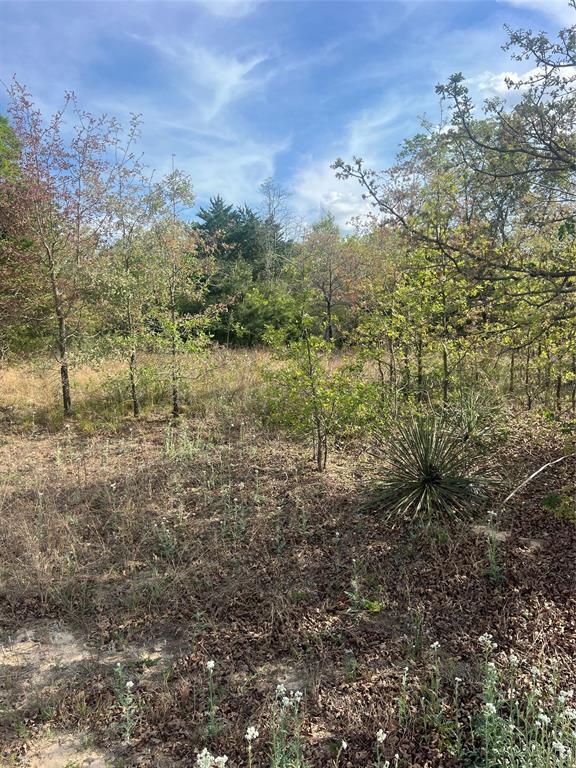 0 Cr-4702 Athens, TX 75752 - Photo 1 of 1 a view of a yard with an trees