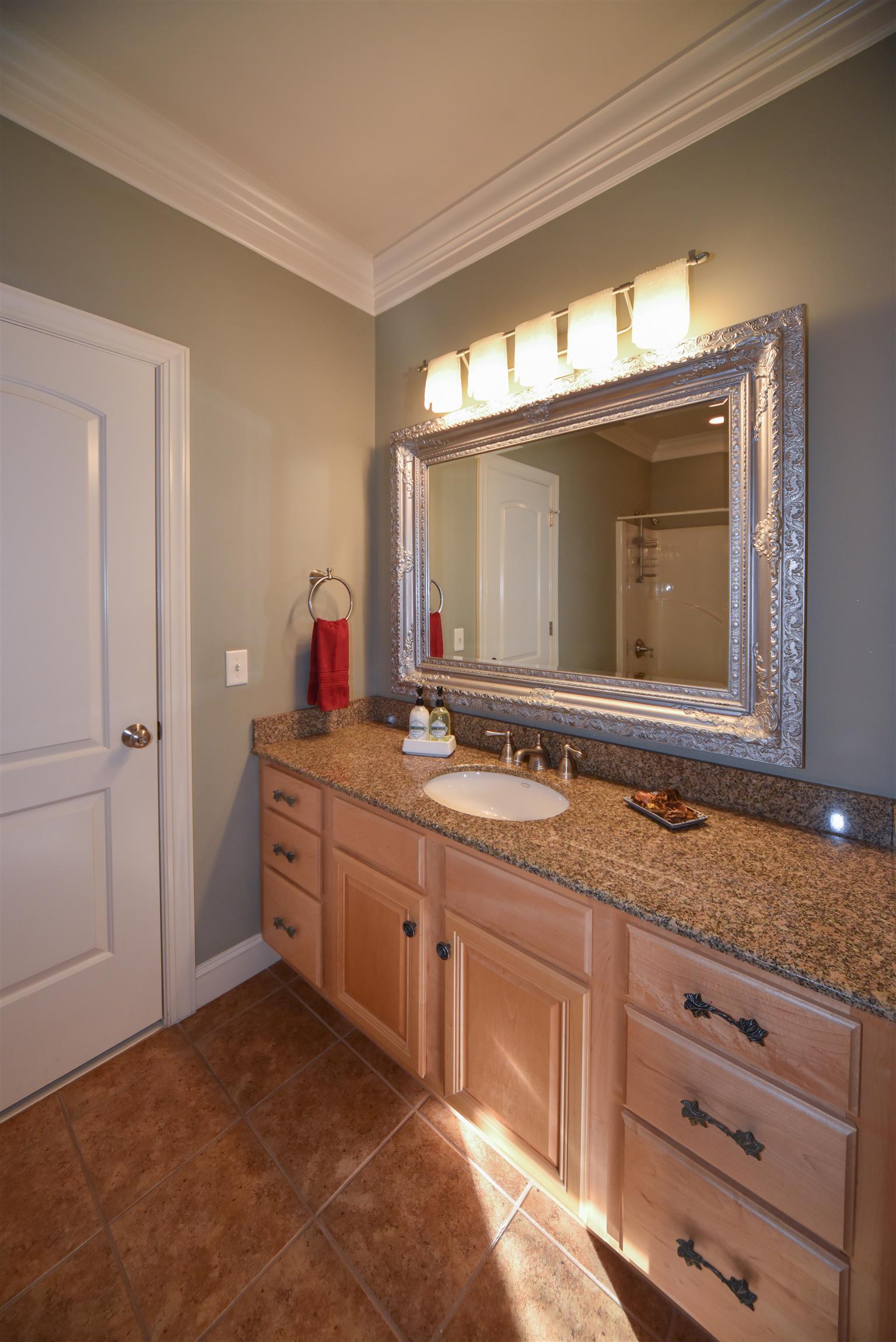 388 Sandcastle Road Franklin, TN 37069 - Photo 14 of 30 Jack and Jill bath