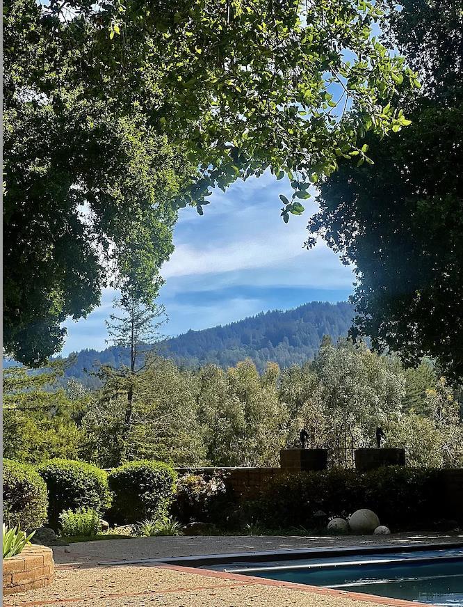 12 Vineyard Hill Road Woodside, CA 94062 - Photo 17 of 21 a view of a yard