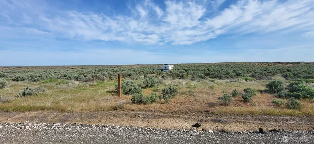 a view of a field with trees in background