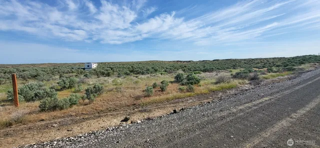 a view of a dry yard with lots of green space