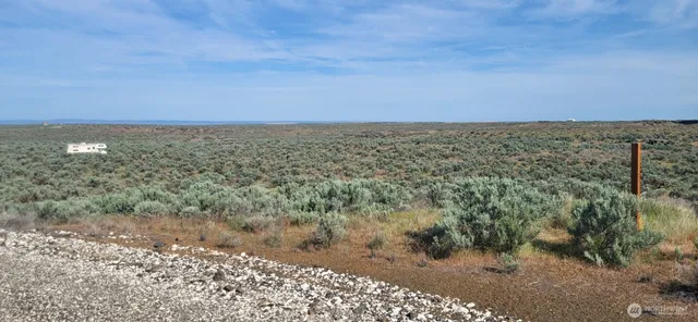 a view of a lake with a city