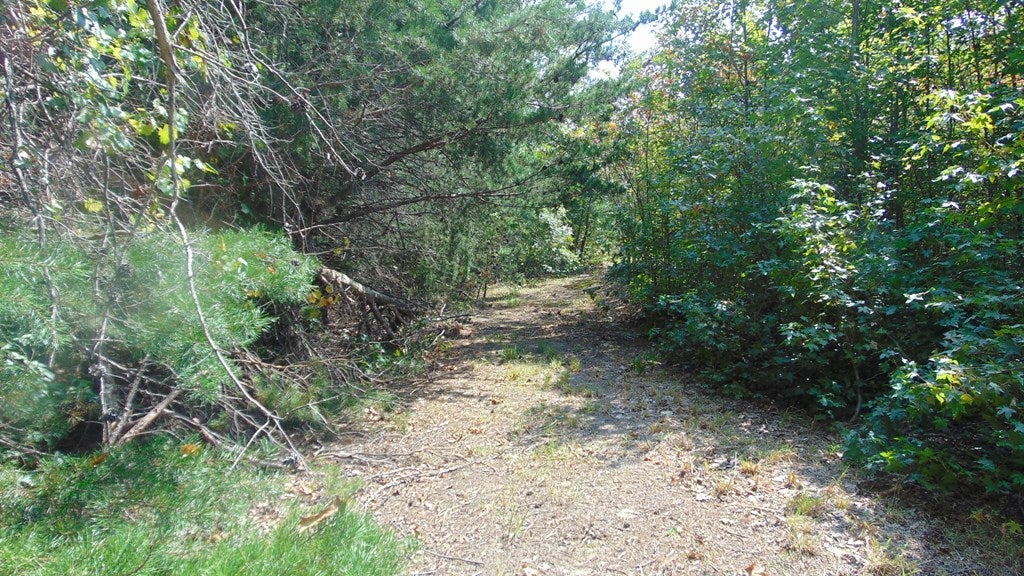 650 Mulberry Road Nathalie, VA 24577 - Photo 15 of 23 Gallery Image 15