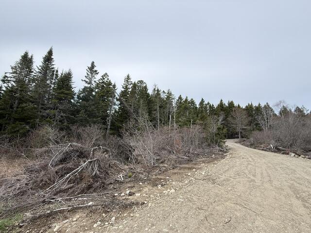 Lot 5 Holmes Bay Farms Road Whiting, ME 04691 - Photo 11 of 23 IMG_9165 (2)