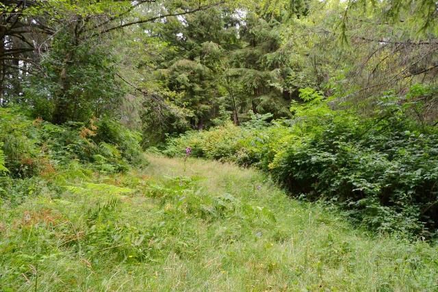 53 Nehalem Or 97131 Nehalem, OR 97131 - Photo 9 of 15 Prop5