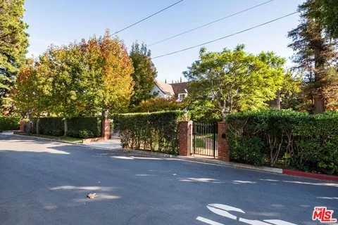 a view of a street with potted plants and large trees