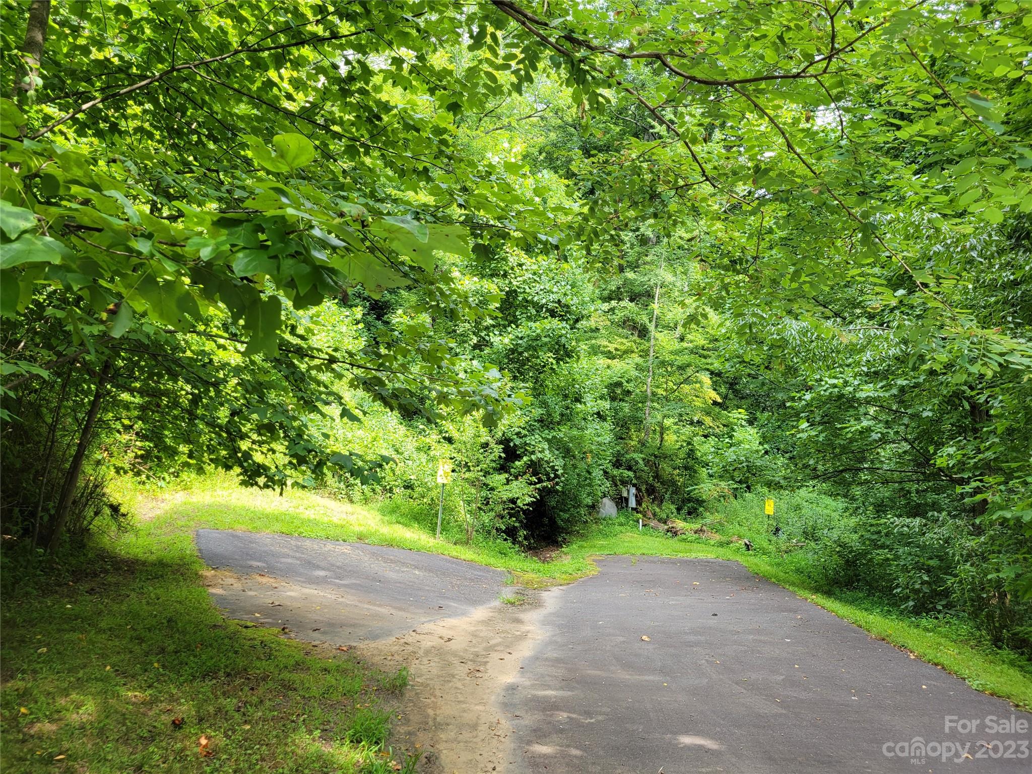 0 Rons Ridge, Unit 43 Waynesville, NC 28785 - Photo 2 of 4 a view of a yard with a plants and trees
