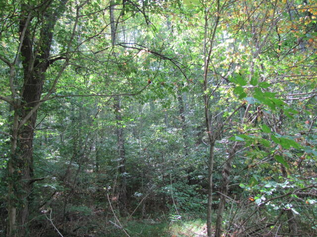 1 Reagan Springs Road Seymour, TN 37865 - Photo 9 of 13 IMG_3678