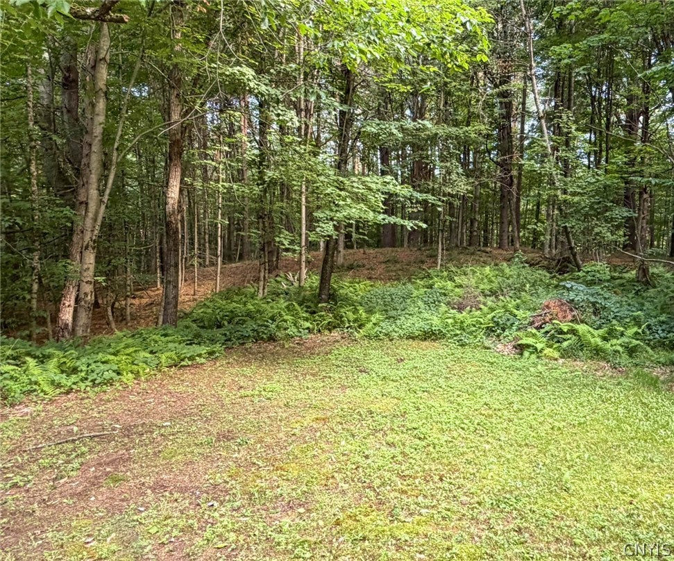 6049 Whitelake Road Forestport, NY 13338 - Photo 24 of 31 Gallery Image 24