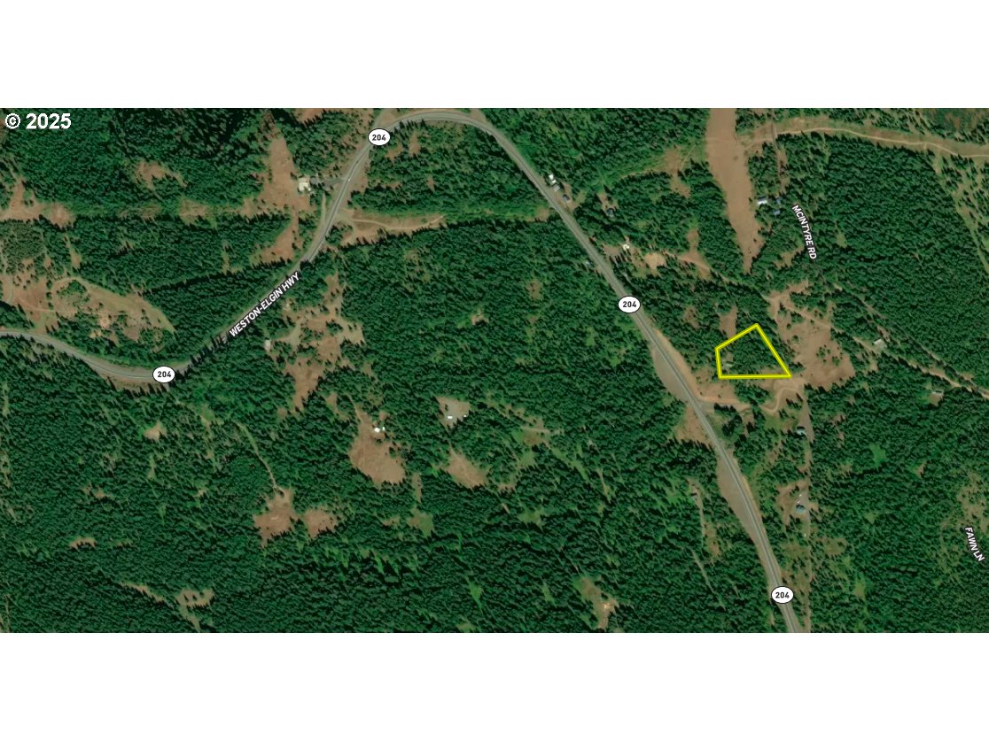 78248 McIntyre Road Weston, OR 97886 - Photo 18 of 19 a open area with lots of trees