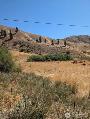 a view of a road with a dry yard