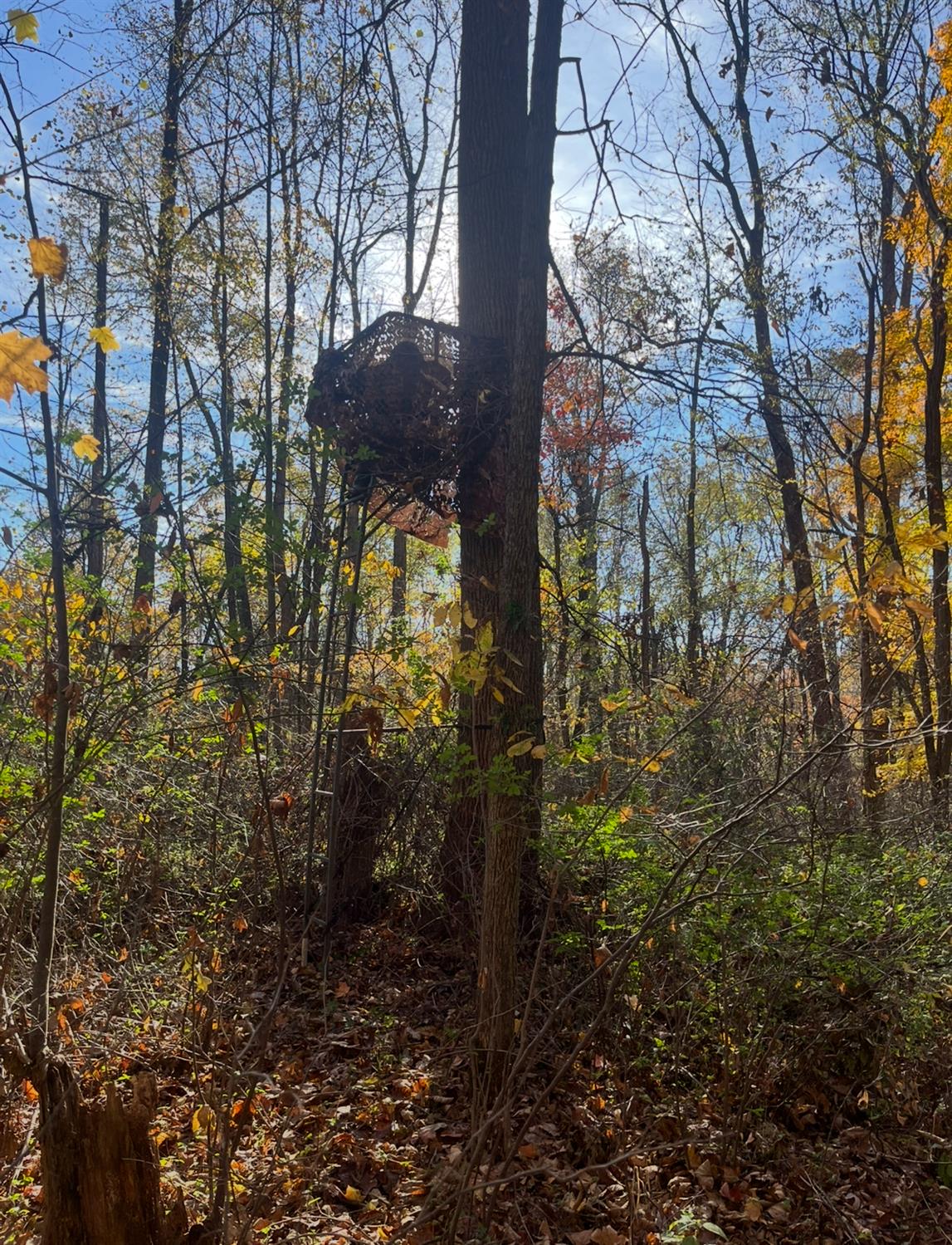 6661 Arnett Road Vevay, IN 47043 - Photo 24 of 27