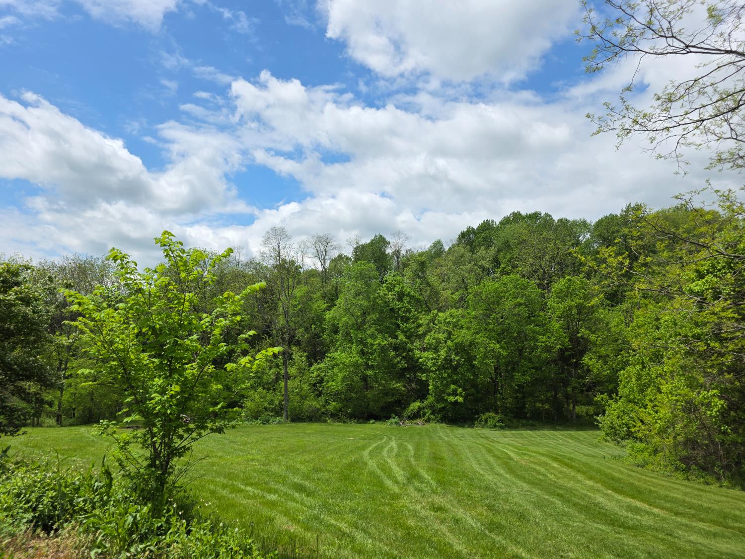 6661 Arnett Road Vevay, IN 47043 - Photo 25 of 27