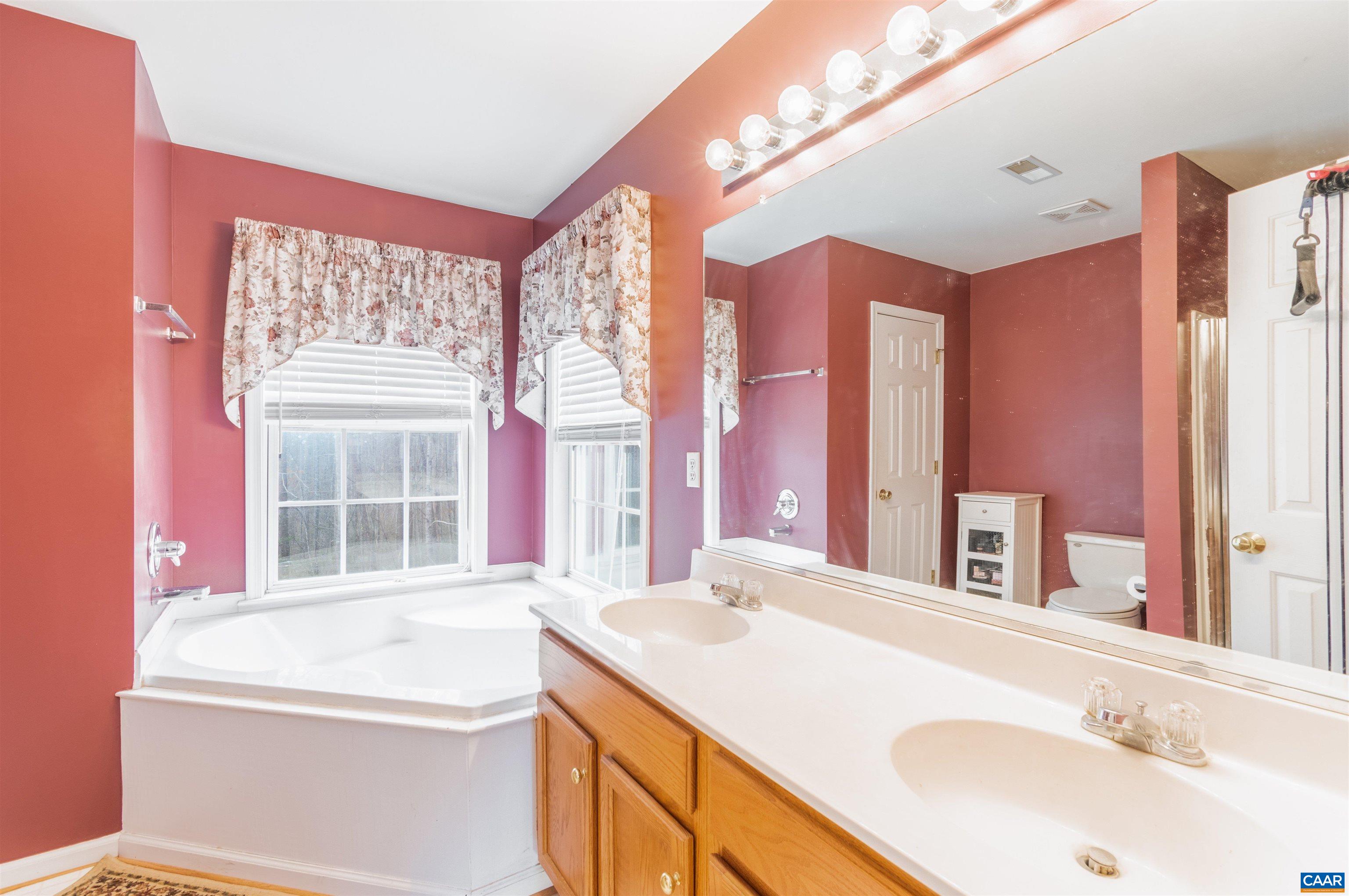 46 Lilac Road Ruckersville, VA 22968 - Photo 5 of 26 a bathroom with a granite countertop sink and a large mirror