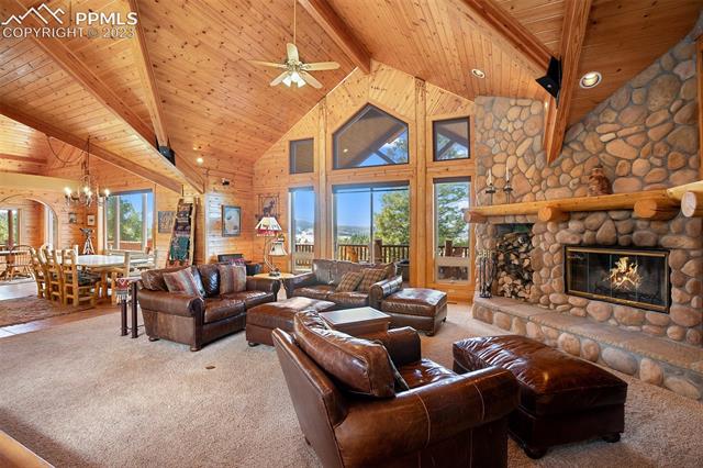 11155 Elk Ridge South Divide, CO 80814 - Photo 3 of 38