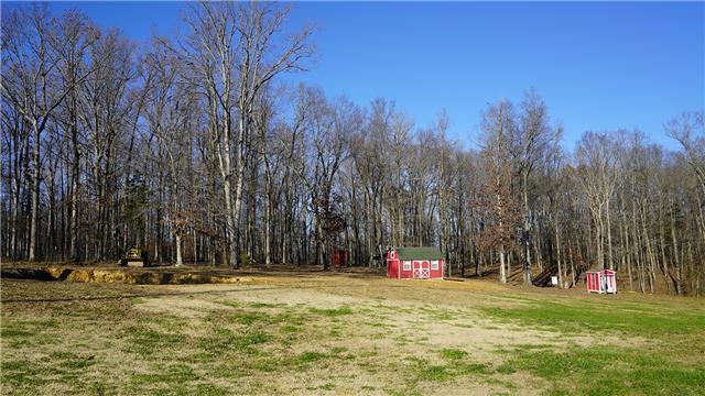 820 Town Branch Road Charlotte, TN 37036 - Photo 4 of 20 Gallery Image 4