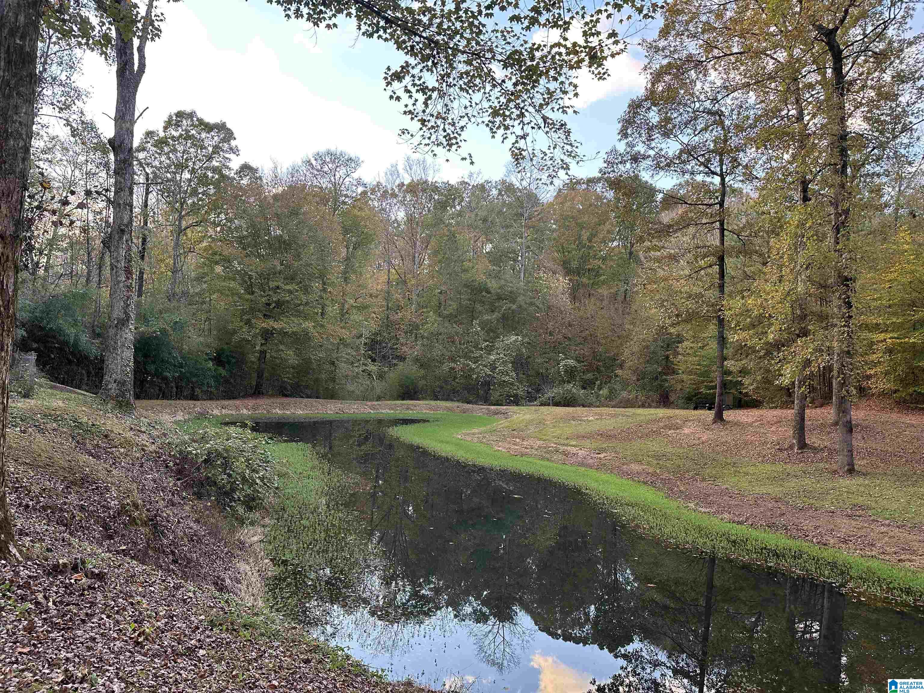 7700 Hargrove E Road Cottondale, AL 35453 - Photo 35 of 36
