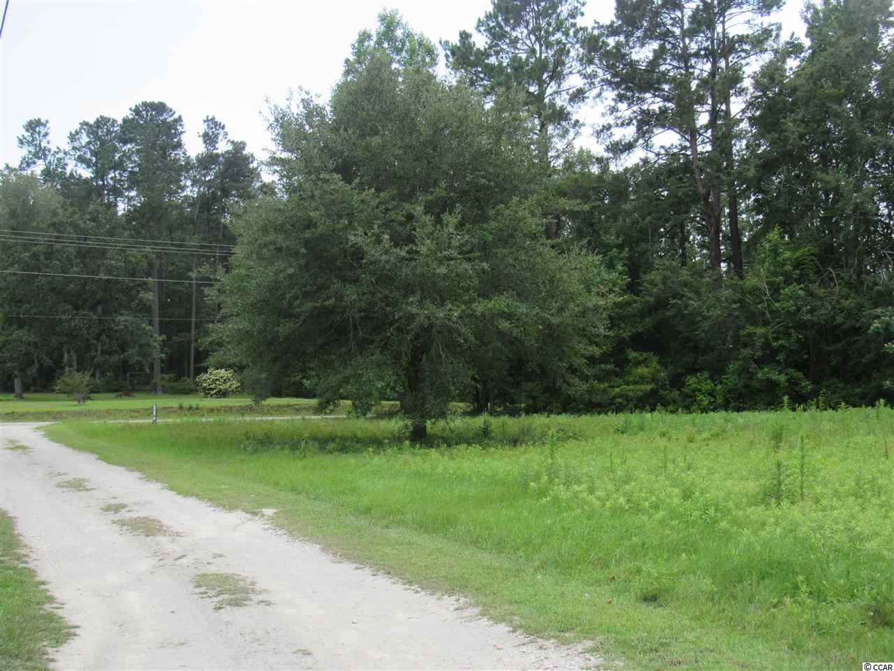 Roscoe Road Myrtle Beach, SC 29588 - Photo 3 of 10 Gallery Image 3