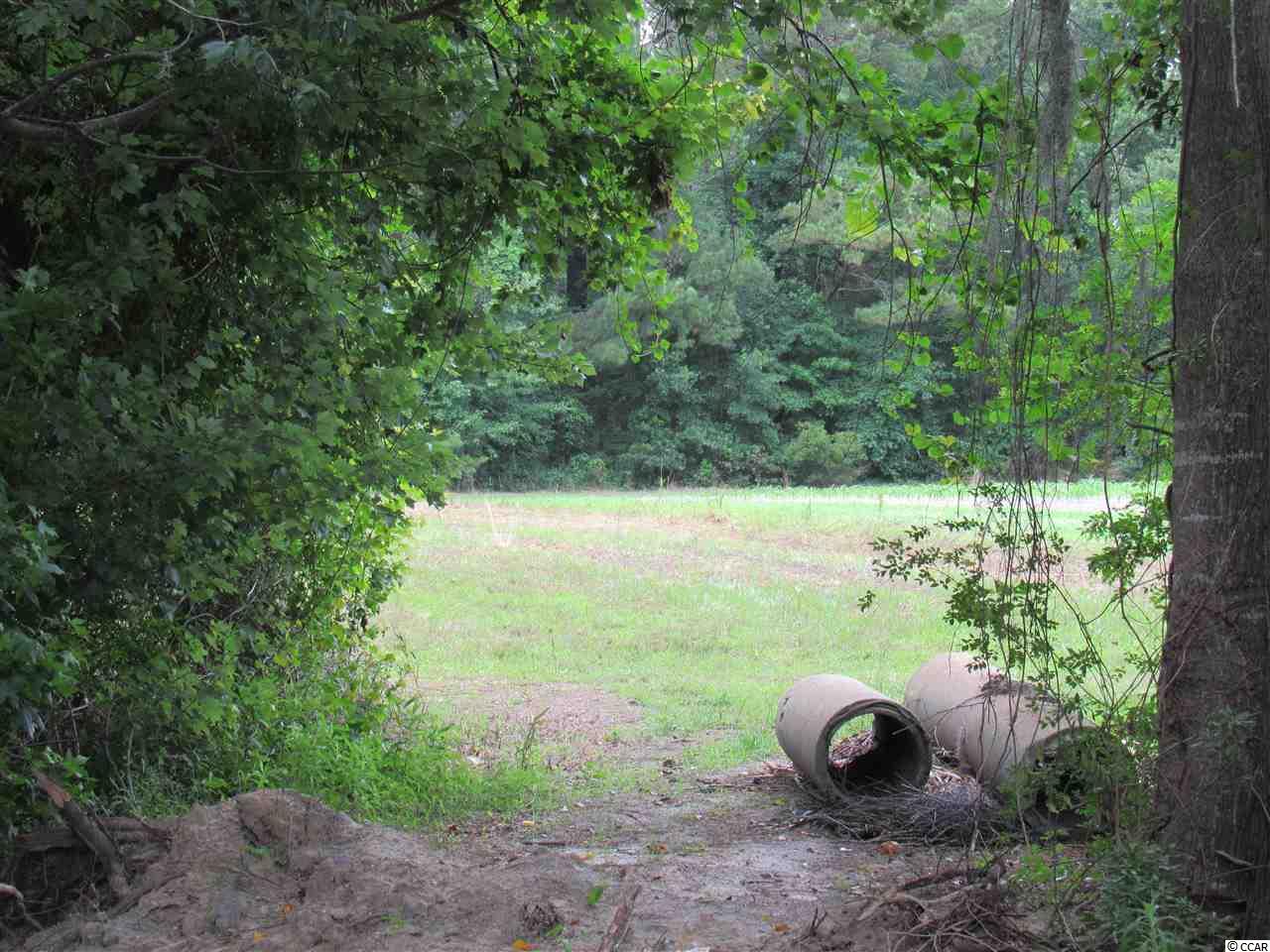 Roscoe Road Myrtle Beach, SC 29588 - Photo 6 of 10 Gallery Image 6