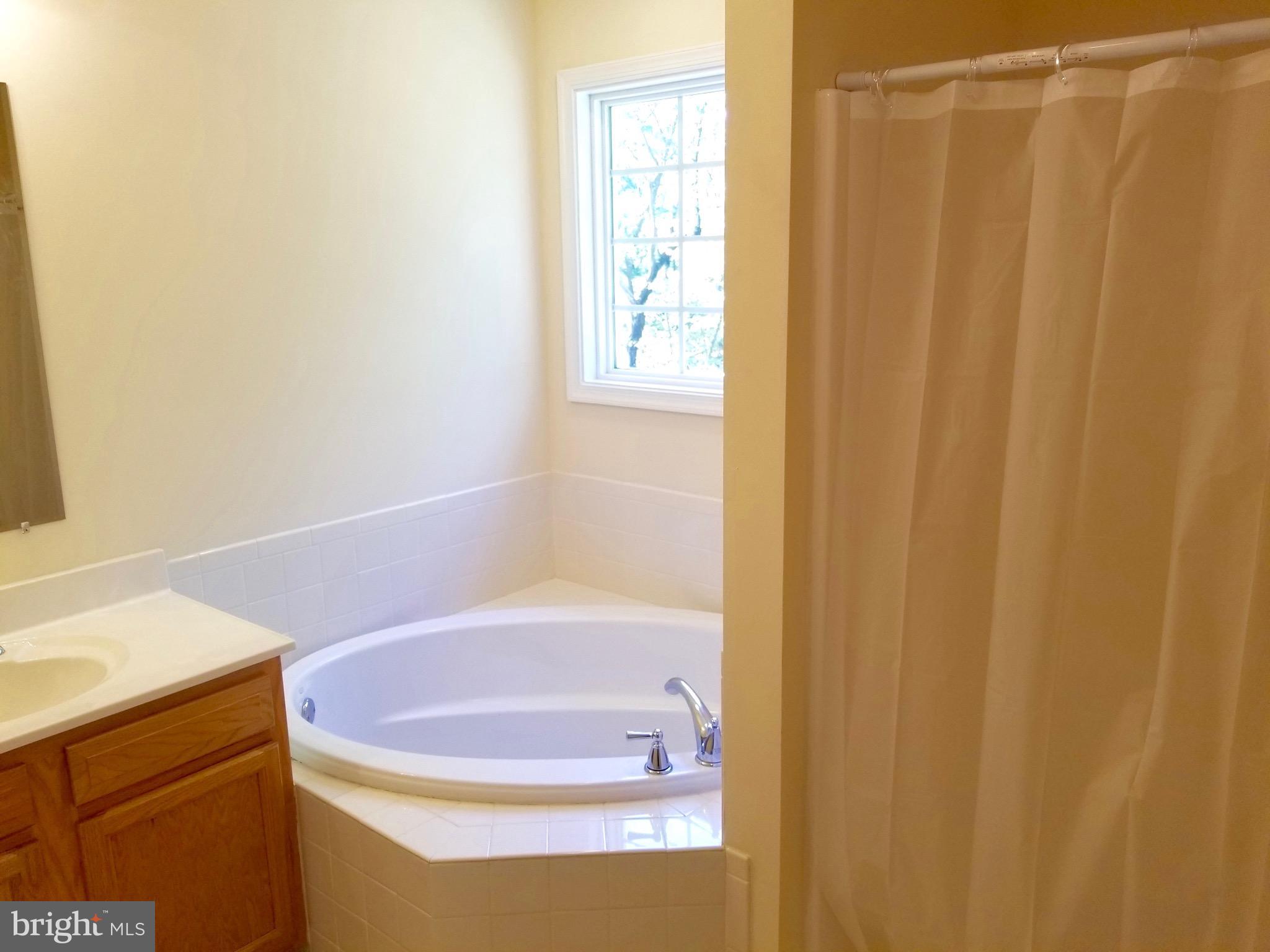 922 Nancy Jack Road Gerrardstown, WV 25420 - Photo 20 of 30 Bath (Master)
