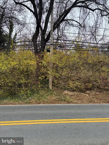 a view of yard with large tree
