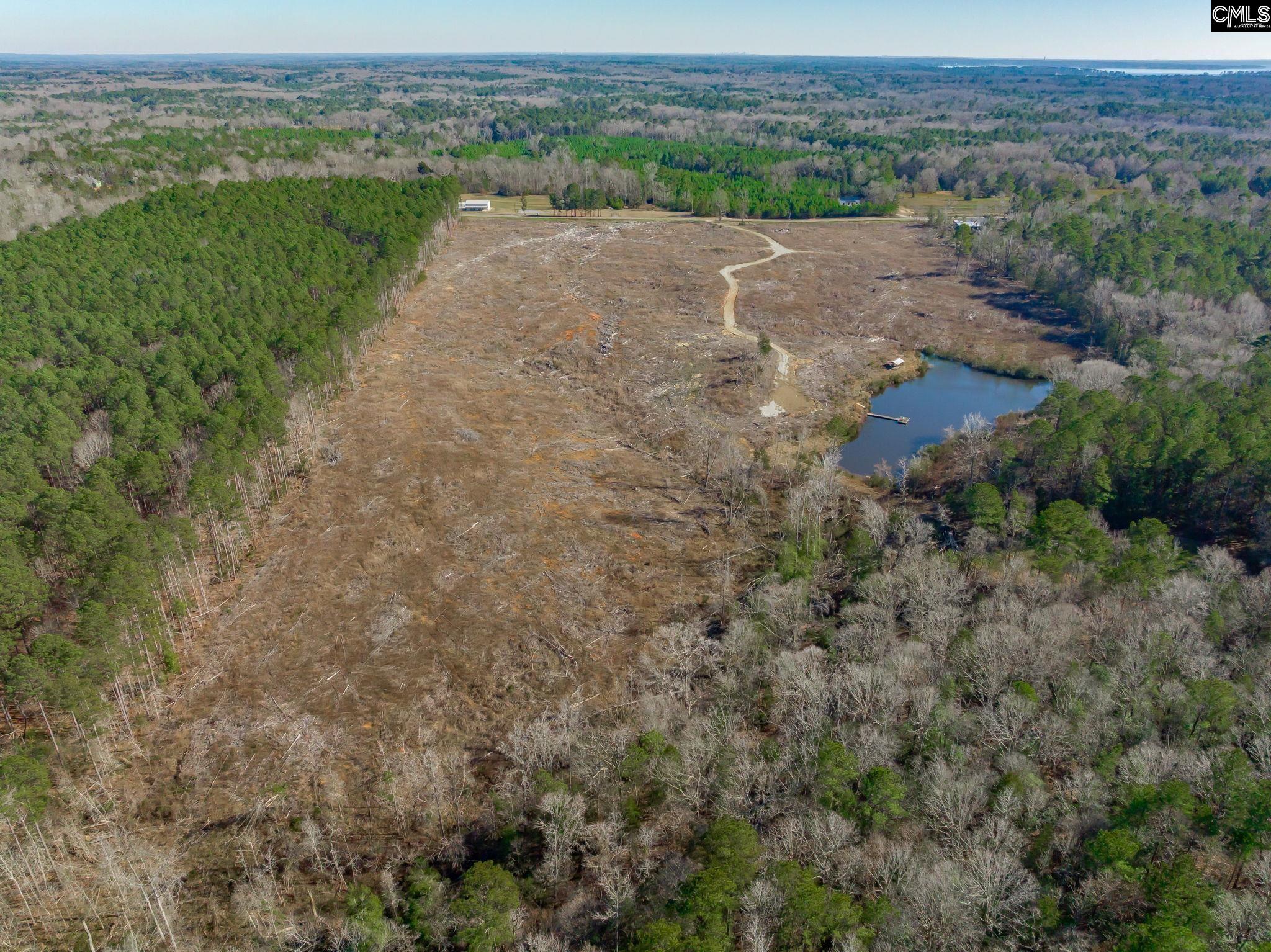 501 Crooked Creek Road Chapin, SC 29036 - Photo 8 of 28